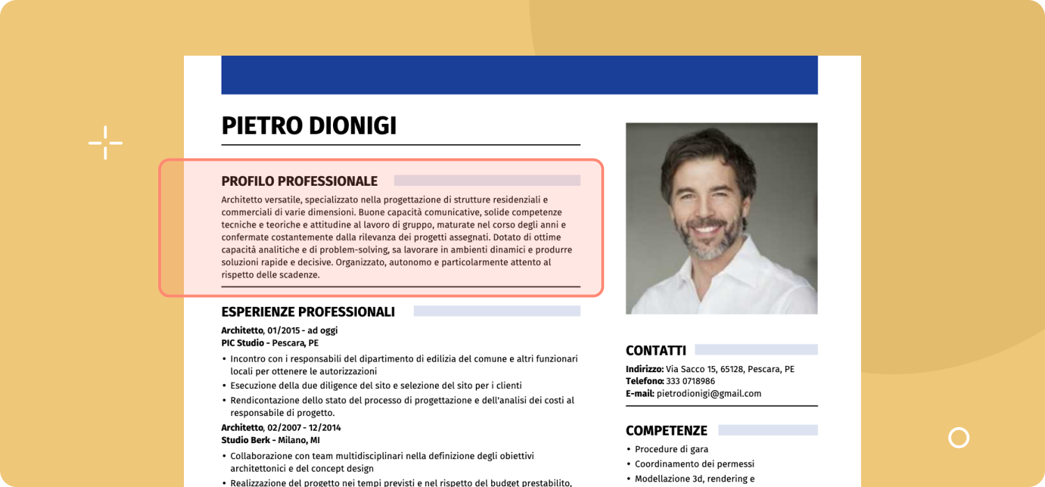 Profilo Professionale